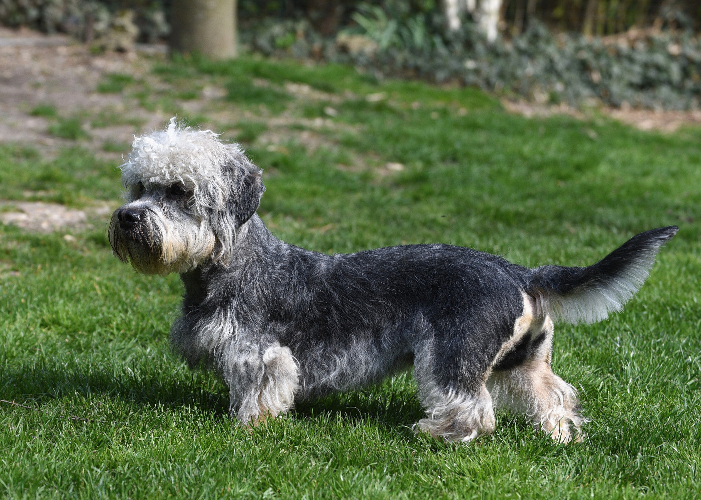 Flick z medunkove strane