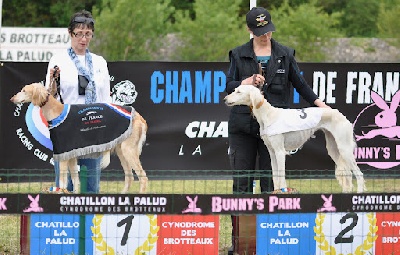 N'Agzir - Championnat de travail 2012