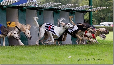 N'Agzir - Finaliste Championnat Europe Racing 2011