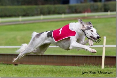 N'Agzir - EK racing 2011